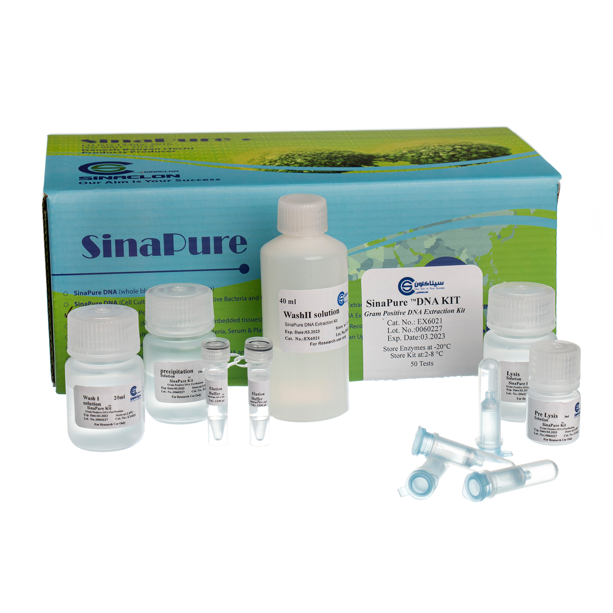 Sinapure-DNA (gram(+) Bacteria)50t-EX6021